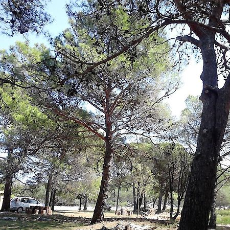 Eco Secluded Apartments Zabodarski Čunski Екстериор снимка