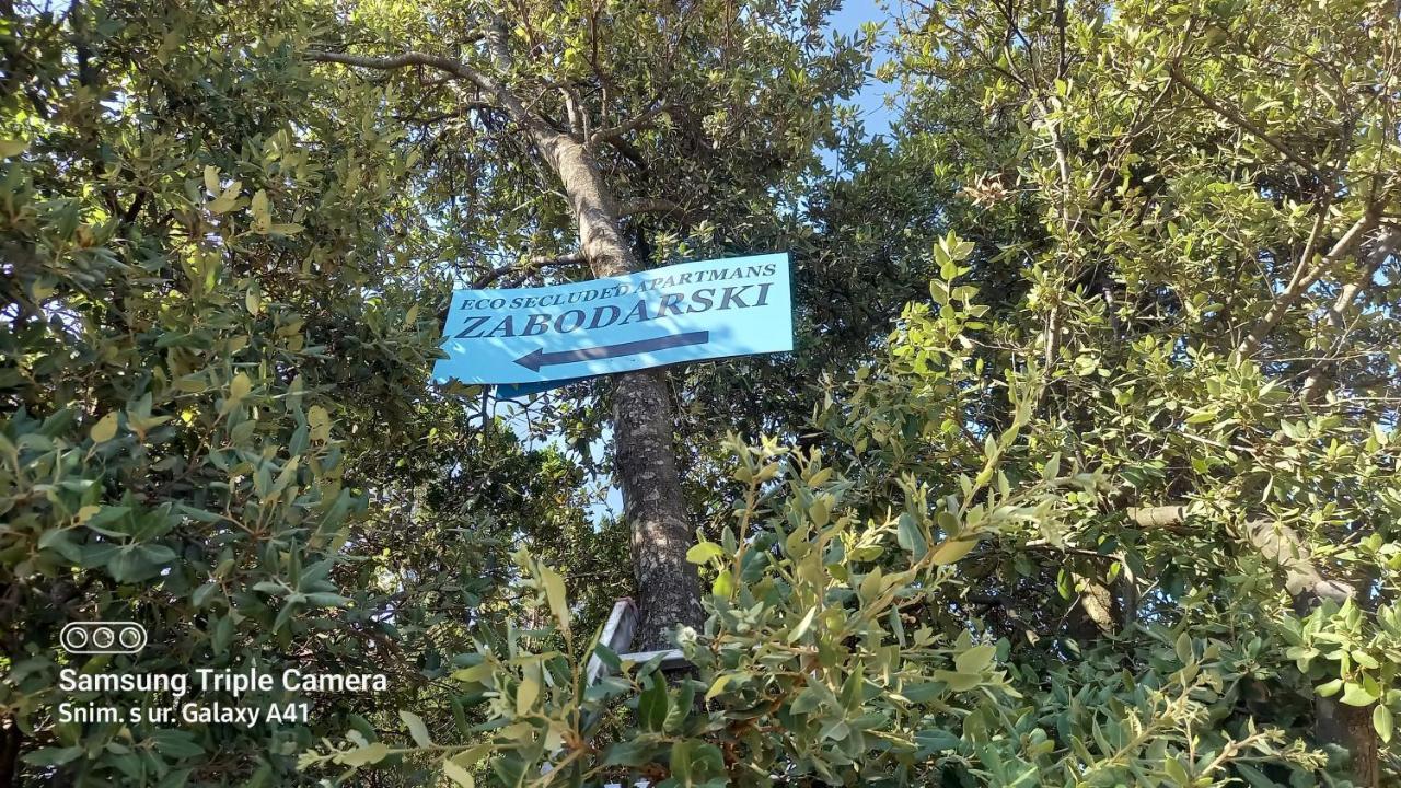 Eco Secluded Apartments Zabodarski Čunski Екстериор снимка