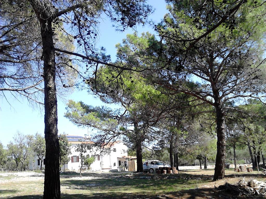 Eco Secluded Apartments Zabodarski Čunski Екстериор снимка