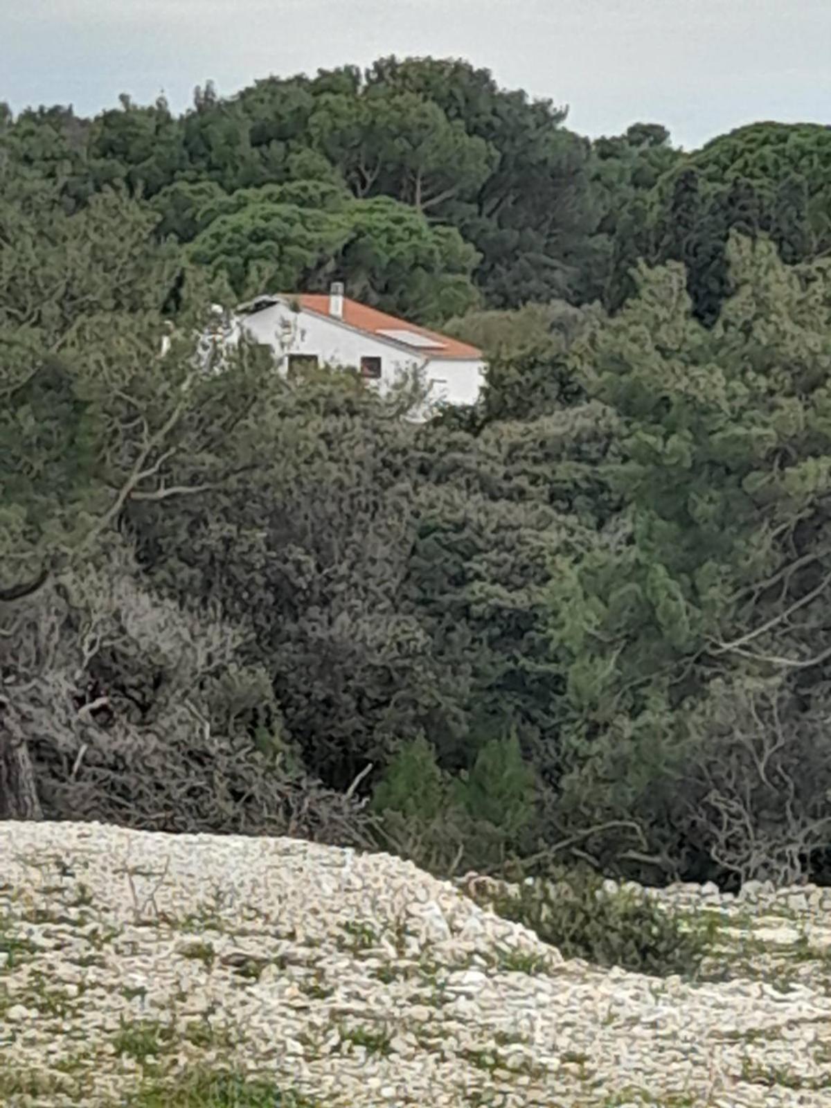 Eco Secluded Apartments Zabodarski Čunski Екстериор снимка