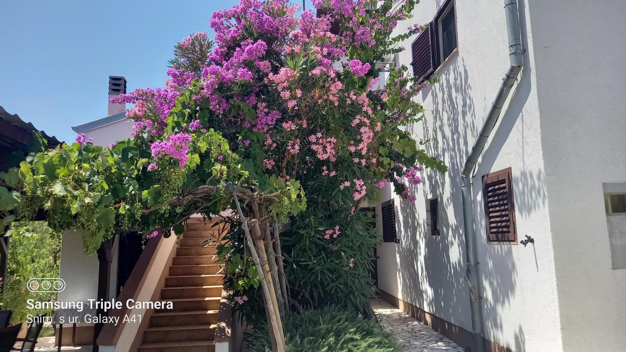 Eco Secluded Apartments Zabodarski Čunski Екстериор снимка