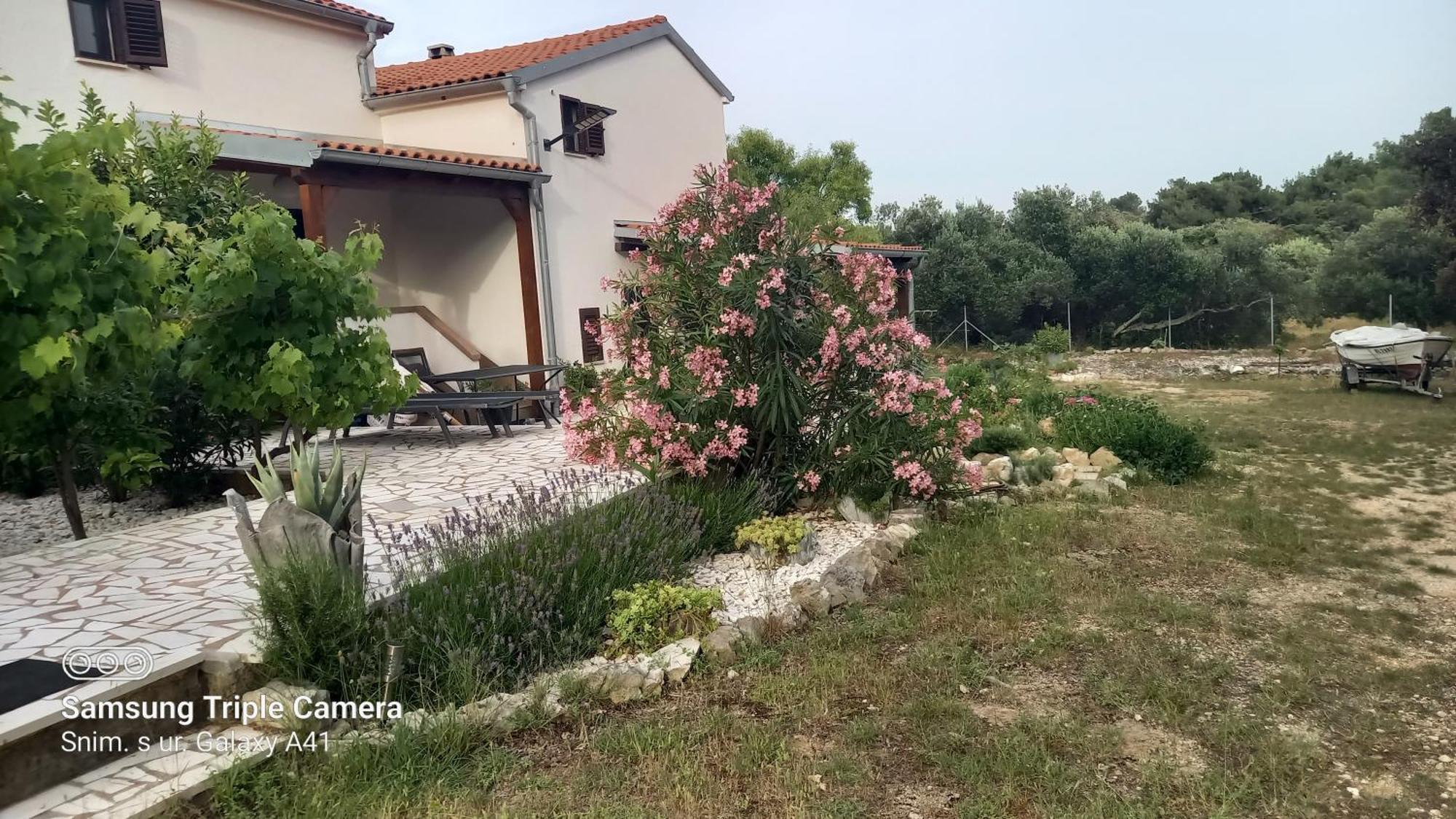 Eco Secluded Apartments Zabodarski Čunski Екстериор снимка