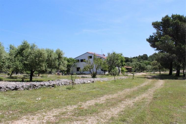 Eco Secluded Apartments Zabodarski Čunski Екстериор снимка