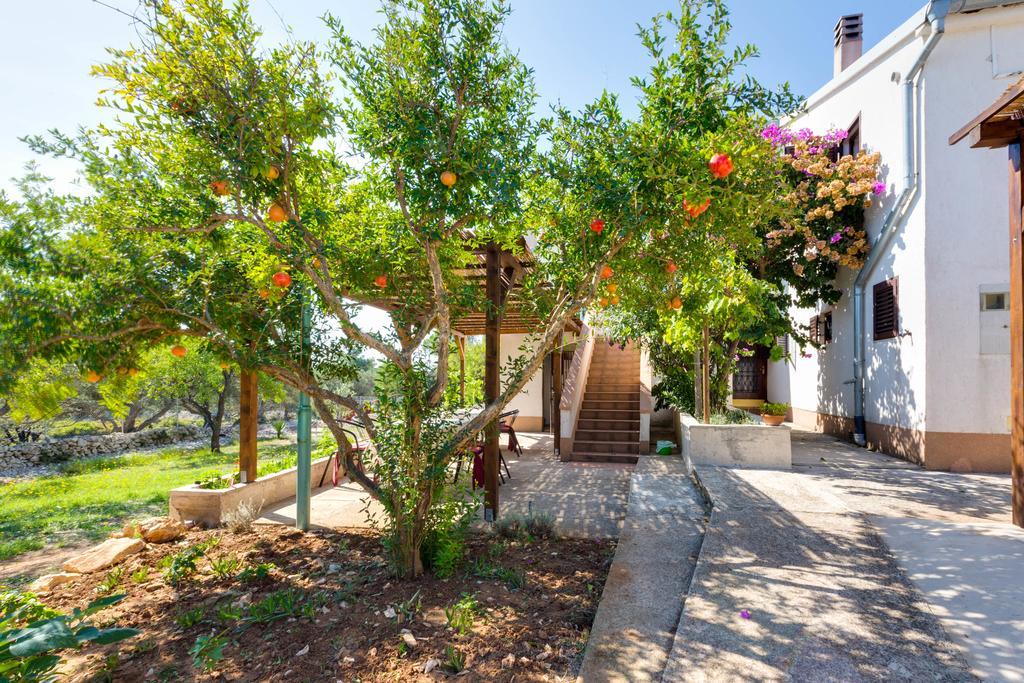 Eco Secluded Apartments Zabodarski Čunski Екстериор снимка