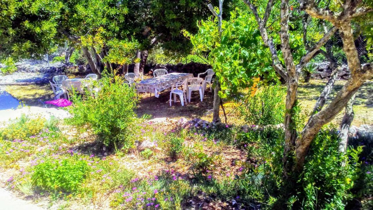 Eco Secluded Apartments Zabodarski Čunski Екстериор снимка